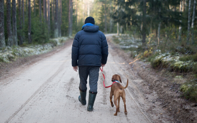 Dog_Walk_thumbnail.png