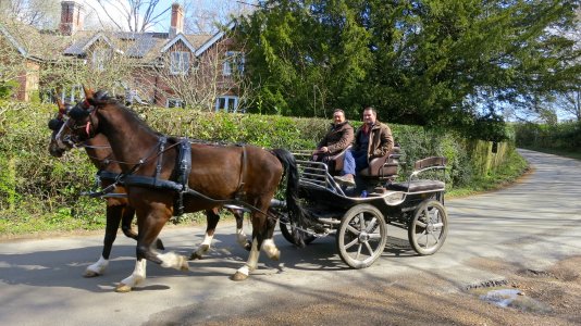 horses-and-cart 1.jpg