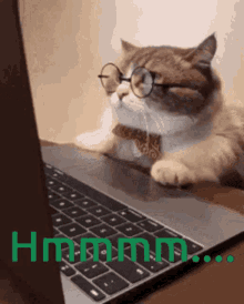 FAA0D950-AC1C-4449-AEFE-9C0F93E0237A.gif FAA0D950-AC1C-4449-AEFE-9C0F93E0237A.gif