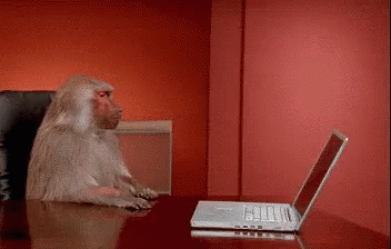 BF986F34-2D35-49DA-AE6E-D6A25A8B0BE7.gif BF986F34-2D35-49DA-AE6E-D6A25A8B0BE7.gif