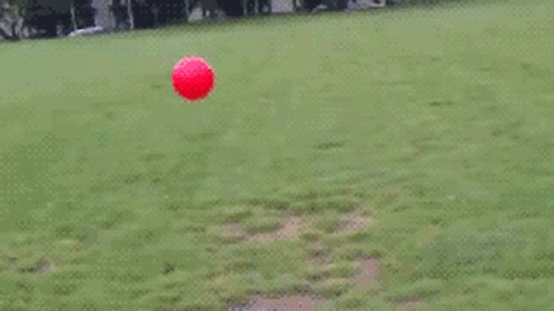dog-ball-chase.gif dog-ball-chase.gif
