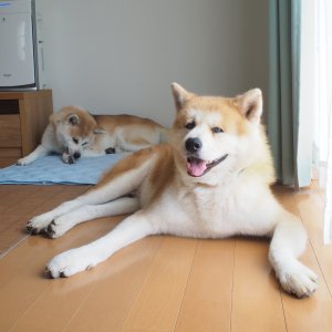 y and k .jpg