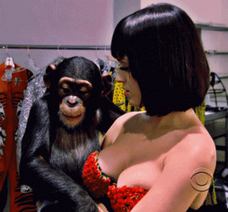TITS P.gif