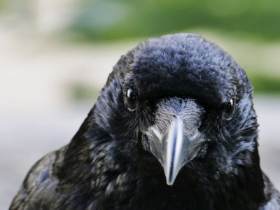 31967139-9579-4F5F-9A63-DC873776DAA5.png 31967139-9579-4F5F-9A63-DC873776DAA5.png