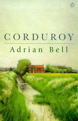 Corduroy Adrian Bell.jpg Corduroy Adrian Bell.jpg