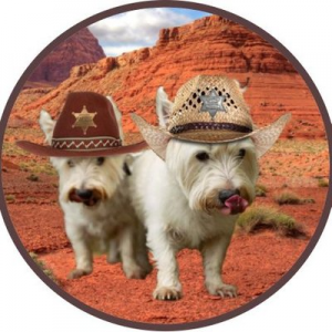 The Lone Hope and Sundance Kesy (@Hope_Kesy) _ Twitter.png