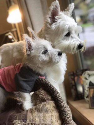 272939754_910999926240619_2736823059126945905_n (2).jpg