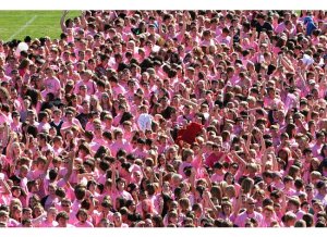 Pink-Arrow-crowd-2011.jpg