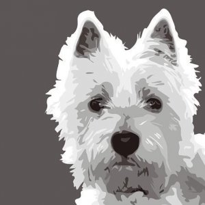 Art Print_ Emily Burrowes Poster by Emily Burrowes _ 20x20in (2).jpg