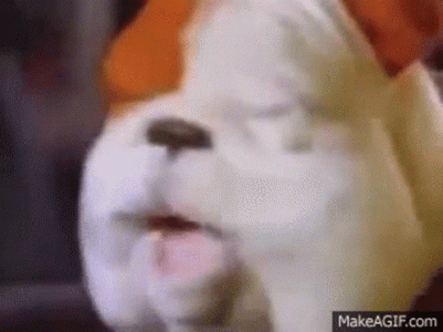 D35A56FB-E529-4C02-86FA-427EEEE852D7.gif