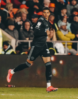 Italiano sheffield Born KOP Blades Fan westie man_ (@paulsikora9) (13).png