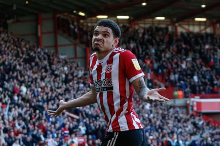 Everything United (@EverythinUTD) _ Twitter (1).png