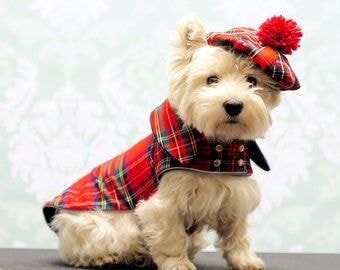 169779414_10222766529785216_2249726560483747195_n (1).jpg