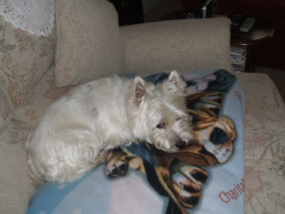 1933640_1839312169628888_3940078055950507912_o (1).jpg