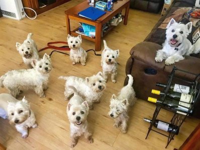 273143397_100112702597903_3975198105481374933_n (4).jpg