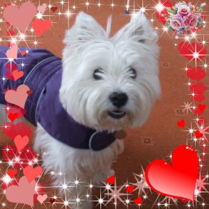 244988801_843656379641641_8968373173975798756_n (1).jpg