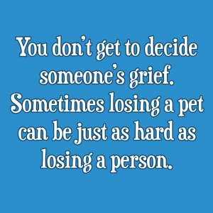 278618359_3003897033160784_3139153644390852366_n (2).jpg