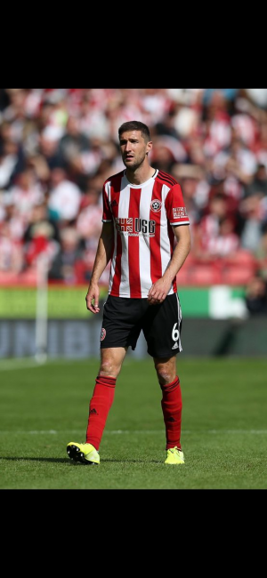 #Bashambauer - Twitter Search _ Twitter (1).png