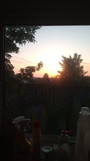 IMG-20220514-WA0006.jpeg