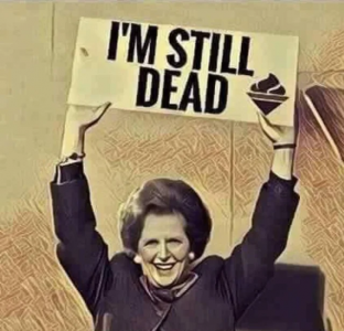 l9nq6qr1j9751.png
