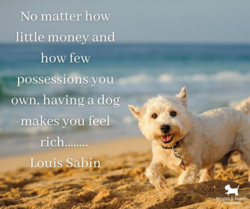 Westie Man (@paulsikora9) (15).png