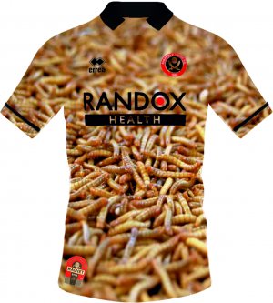 Maggots.jpg