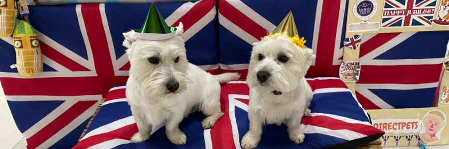 the original Grumpy Git (@GitGrumpygit) _ Twitter.png