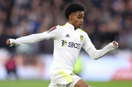 Blades Addict (@BladesAddict) _ Twitter.png