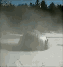 silentgift-the-realness.gif