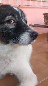 20220701_131429.jpg