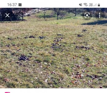 Screenshot_20220709-163736_Google~2.jpg