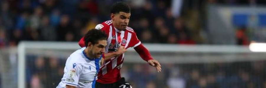 Westie Man (@paulsikora9) (63).png