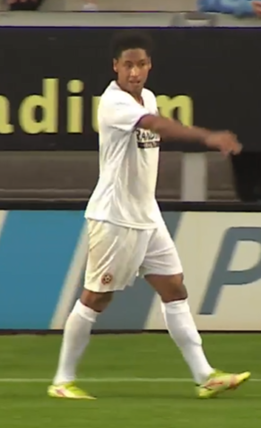 The Bladesman (@The_Bladesman) _ Twitter (10).png