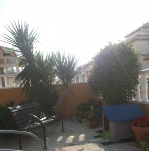 2015-12-24 13.40.20 (2).jpg