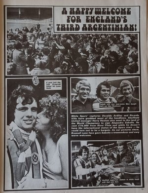 Sabella.jpg