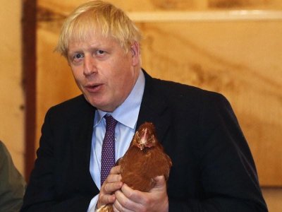 Boris holding a chicken.jpg Boris holding a chicken.jpg