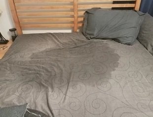 wet-sheets-pee-bed-260nw-1069834259.jpg