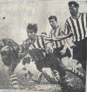 1E5009D9-E1C1-4866-BF5B-5DA0D6028912.jpeg 1E5009D9-E1C1-4866-BF5B-5DA0D6028912.jpeg