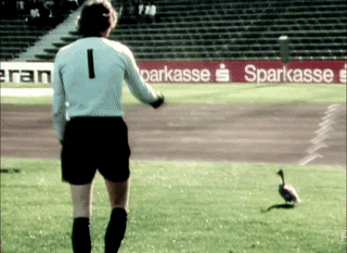 giphy[1].gif