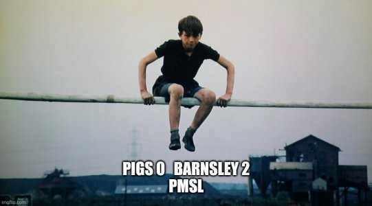 6s4nt5.jpg