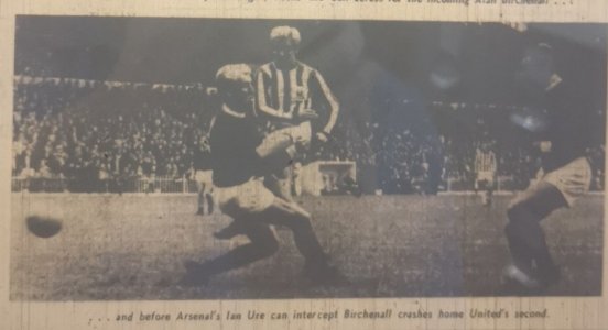 Arse67Birch2.jpg