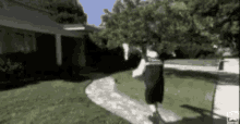 postman-1.gif