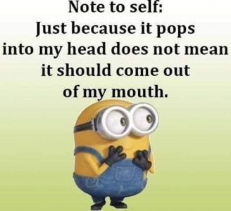 FB_IMG_1656496952126.jpg