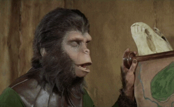 MKcxSyppSD6j6.gif