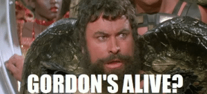 thumb_gordons-alive-the-wertzone-greatest-movie-of-all-time-reaches-50693752.png