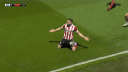 BashGif.gif