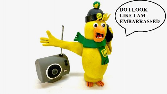 canary1.jpg