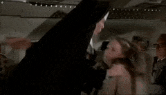 DimwittedUnsteadyArmyant-max-1mb.gif