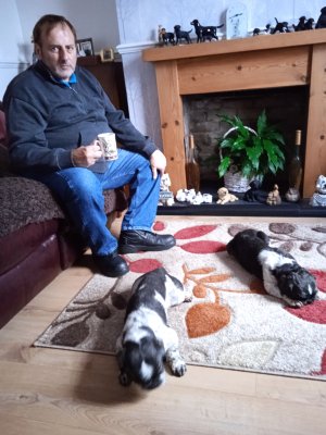 1667313773588.jpg 1667313773588.jpg