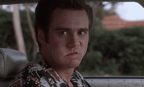 giphy.gif giphy.gif